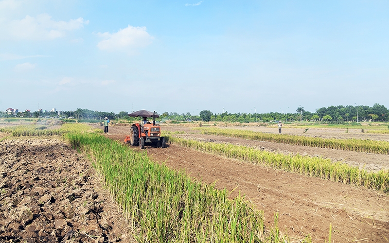 Đất nông nghiệp ở đồng nai được phát triển và mở rộng