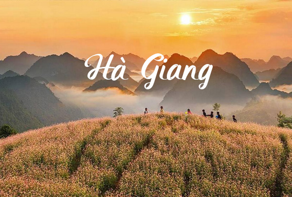 Giới thiệu địa điểm, đặc sản và những lưu ý khi du lịch tại Hà Giang